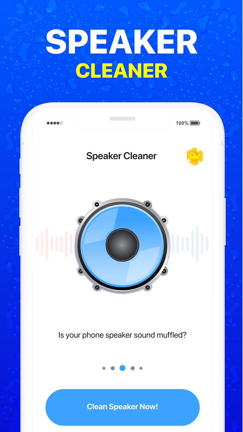 speaker cleaner